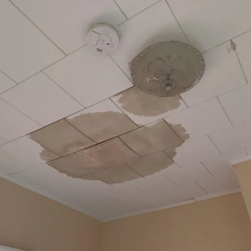 Ceiling Water Damage Repair in Carterville, MO