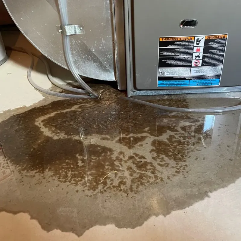 Pipe Burst and Leak Restoration in Carterville, MO