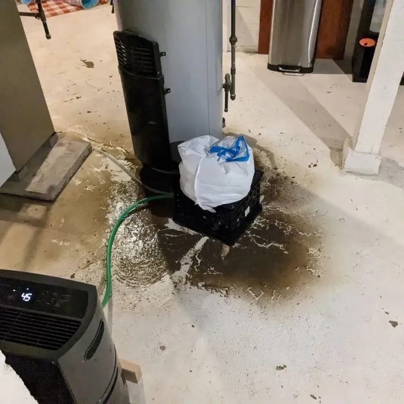 Sewage Backup Cleanup Service in Carterville, MO